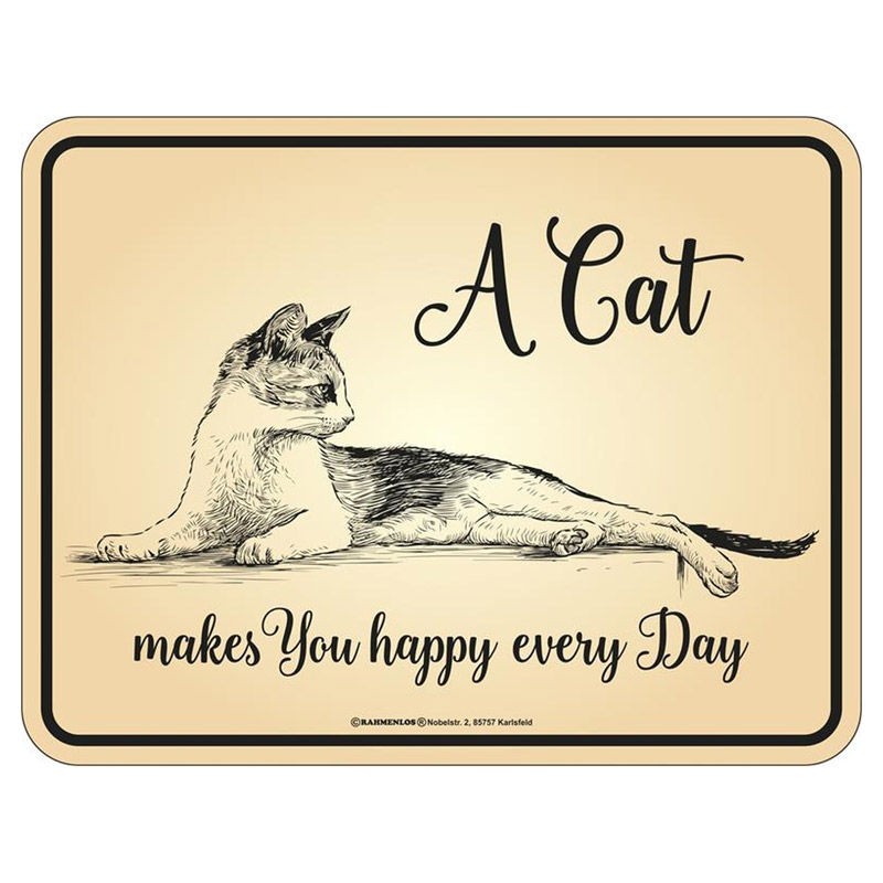 Magnetschild - Cat every day
