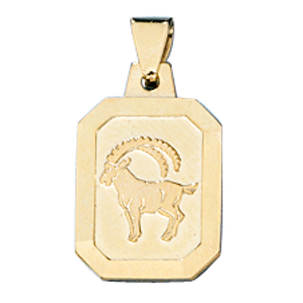Anhänger Sternzeichen Steinbock 333 Gelbgold matt Sternzeichenanhänger