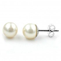 Ohrstecker Perle wachsweiß 8mm