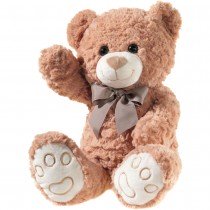 Teddybär Braun