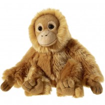 Misanimo Orangutan