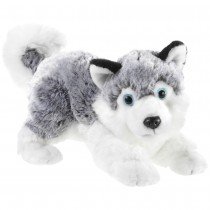 Misanimo Husky liegend