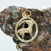 Sternzeichen Anhänger Steinbock 375 Gold