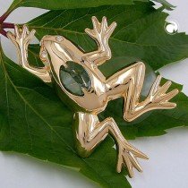 Suncatcher Frosch
