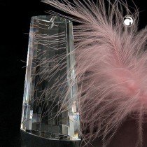 Anhänger Schwinge kristall klar Kristallglas