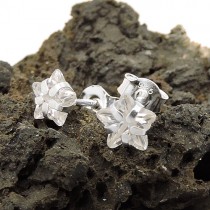 Ohrstecker Zirkonia Stern weiß 925 Sterlingsilber