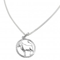 Schmuck Set Anhänger Sternzeichen Stier mit Kette Flachpanzer 925 Silber