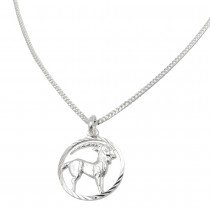 Schmuck Set Anhänger Sternzeichen Steinbock mit Kette Flachpanzer 925 Silber