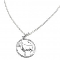 Schmuck Set Anhänger Sternzeichen Stier mit Kette Flachpanzer 925 Silber