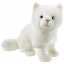 Misanimo Kätzchen Weiß