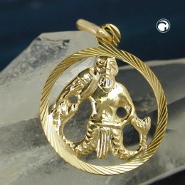 Sternzeichen Anhänger Wassermann 375 Gold