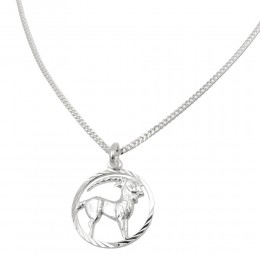 Schmuck Set Anhänger Sternzeichen Steinbock mit Kette Flachpanzer 925 Silber