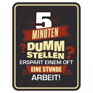 Magnetschild - 5 Minuten dumm stellen