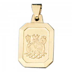 Anhänger Sternzeichen Wassermann 333 Gelbgold matt Sternzeichenanhänger