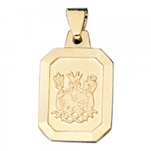 Anhänger Sternzeichen Wassermann 333 Gelbgold matt Sternzeichenanhänger