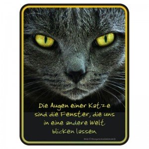 geprägtes Blechschild - Die Augen einer Katze