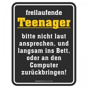 geprägtes Blechschild - freilaufende Teenager