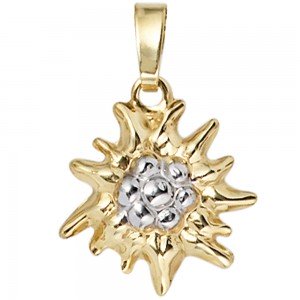 Anhänger Edelweiß 333 Gelbgold bicolor Goldanhänger