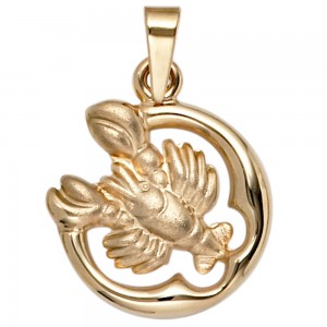 Anhänger Sternzeichen Krebs 375 Gelbgold matt Sternzeichenanhänger