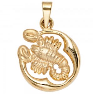 Anhänger Sternzeichen Skorpion 375 Gelbgold matt Sternzeichenanhänger