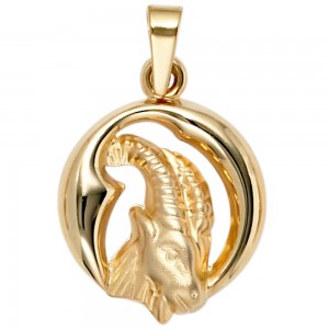 Anhänger Sternzeichen Steinbock 375 Gelbgold matt Sternzeichenanhänger