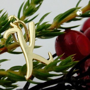 Anhänger Buchstabe K 333 Gelbgold