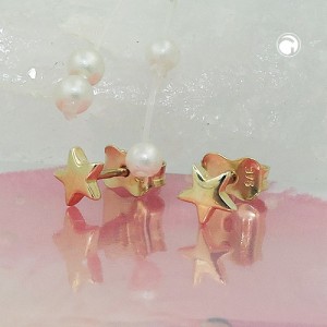 Ohrstecker Stern glänzend 375 Gold