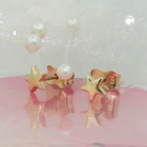 Ohrstecker Stern glänzend 375 Gold