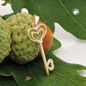 Anhänger Herz Schlüssel 375 Gold