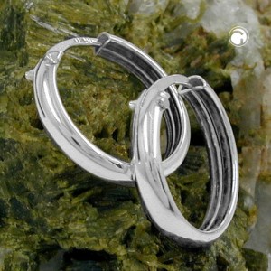 Creolen Ohrringe D-Profil hohl 925 Sterlingsilber