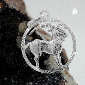 Anhänger Sternzeichen Steinbock 925 Sterlingsilber