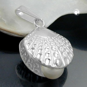 Anhänger Muschel Zuchtperle 925 Sterlingsilber