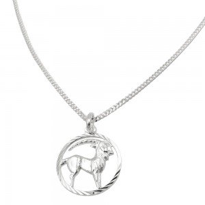 Schmuck Set Anhänger Sternzeichen Steinbock mit Kette Flachpanzer 925 Silber