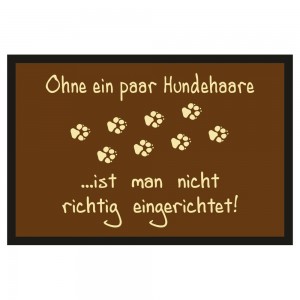 Fußmatte Türmatte Fußabtreter - Hundehaare