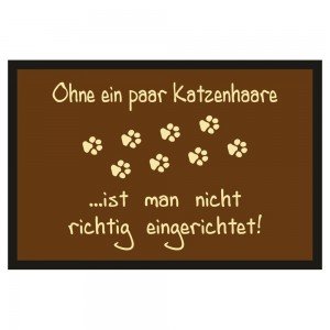 Fußmatte Türmatte Fußabtreter - Katzenhaare