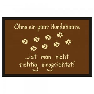 Fußmatte Türmatte Fußabtreter - Hundehaare