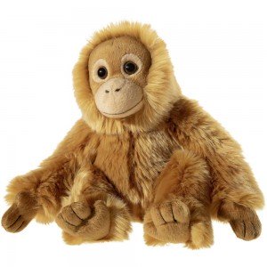 Misanimo Orangutan