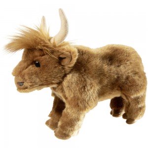 Misanimo Schottisches Rind