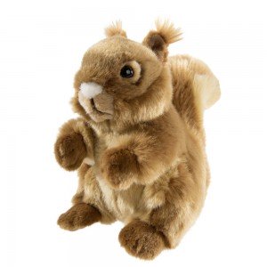 Misanimo Eichhörnchen