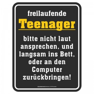 geprägtes Blechschild - freilaufende Teenager