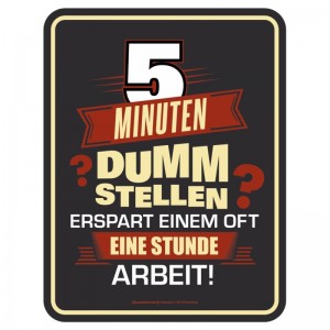 geprägtes Blechschild - 5 Minuten dumm stellen