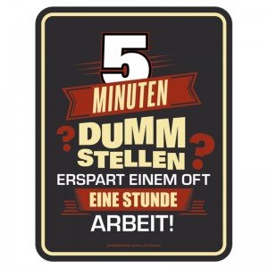 geprägtes Blechschild - 5 Minuten dumm stellen