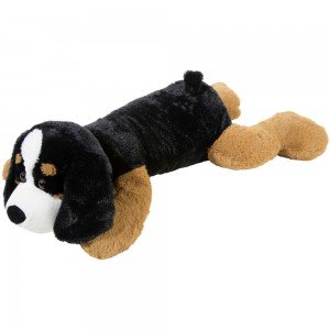 Hund Berner Sennenhund XXL