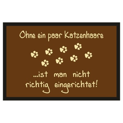 Fußmatte Türmatte Fußabtreter - Katzenhaare