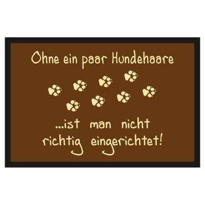 Fußmatte Türmatte Fußabtreter - Hundehaare