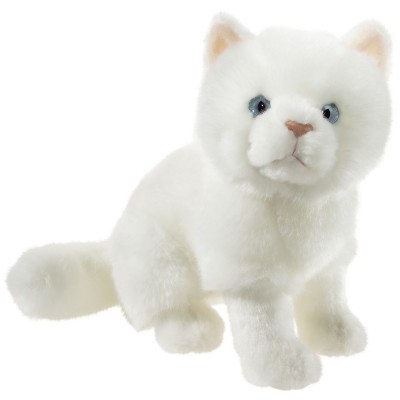 Misanimo Kätzchen Weiß