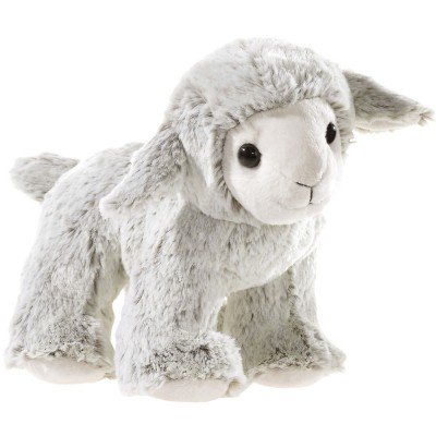 Misanimo Lamm stehend