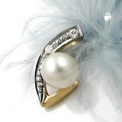Anhänger bicolor mit Zirkonia 375 Gelbgold