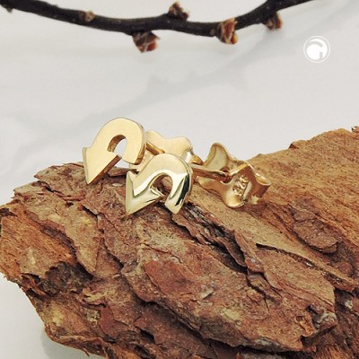 Ohrstecker Wendepfeil glänzend 375 Gold