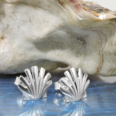 Ohrstecker Muschel glänzend 925 Sterlingsilber